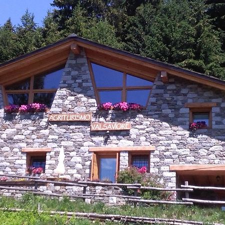 Agriturismo Valsaviore Cevo Exteriér fotografie